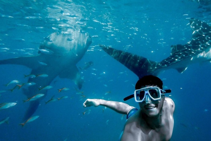 More Than Just Mexico - Here are Nine Places To Snorkel On Your Next West Coast Cruise