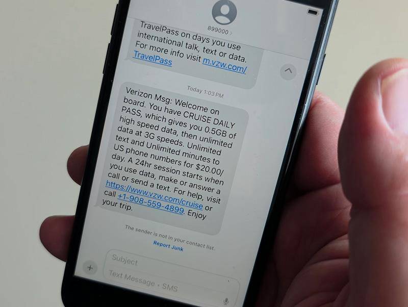 verizon cruise daily pass