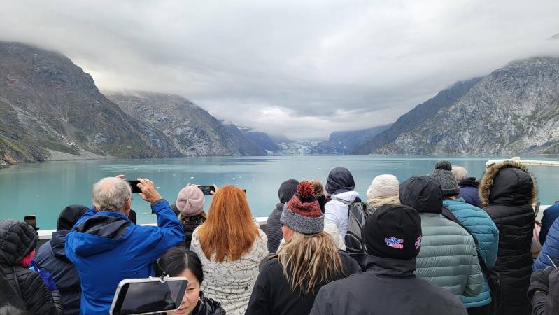 whale watching in alaska from bow of norwegian encore