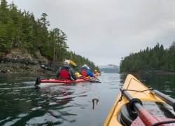 Holland America Lines 2026-2027 New West Coast Voyages Feature Rare Spirit Bear Habitat and Secret Mexican Coves