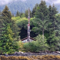 Ward Cove Alaska: Authentic Tlingit Culture & Tongass Wilderness Adventures
