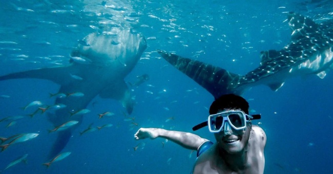 More Than Just Mexico - Here are Nine Places To Snorkel On Your Next West Coast Cruise