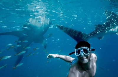 More Than Just Mexico - Here are Nine Places To Snorkel On Your Next West Coast Cruise