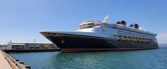 How to Get Kicked Off a Cruise Ship: Behaviors That End Your Vacation Early