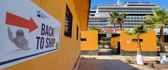 Staying Safe In Baja: An Expert's Guide On How Cruise Visitors Can Get Around Ensenada Safely