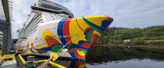 Free Things to Do in Ward Cove: Budget-Friendly Cultural & Wildlife Experiences