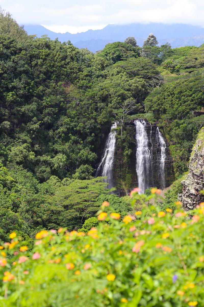 waterfalls and flowers on a hawaii cruise