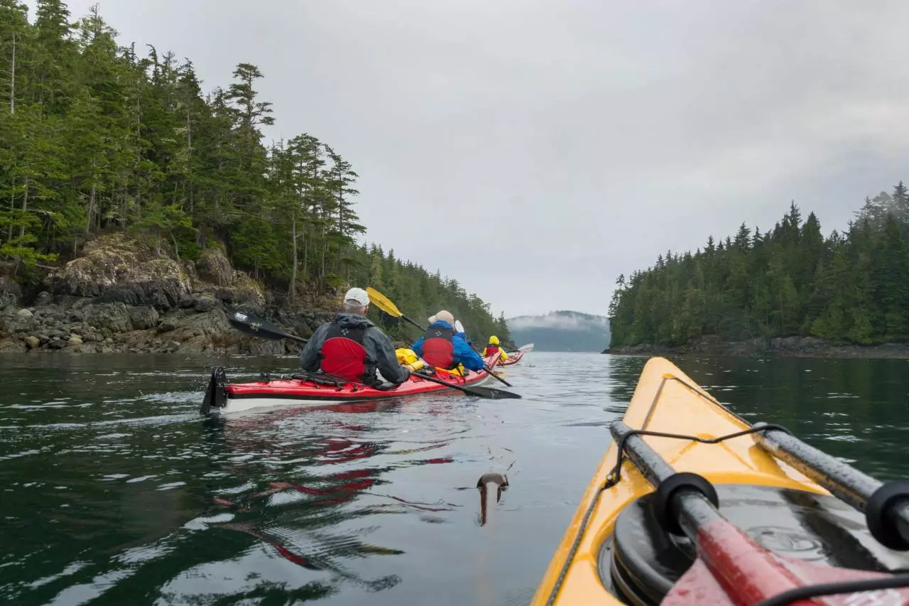 kayaking on a coastal british columbia inside passage cruise