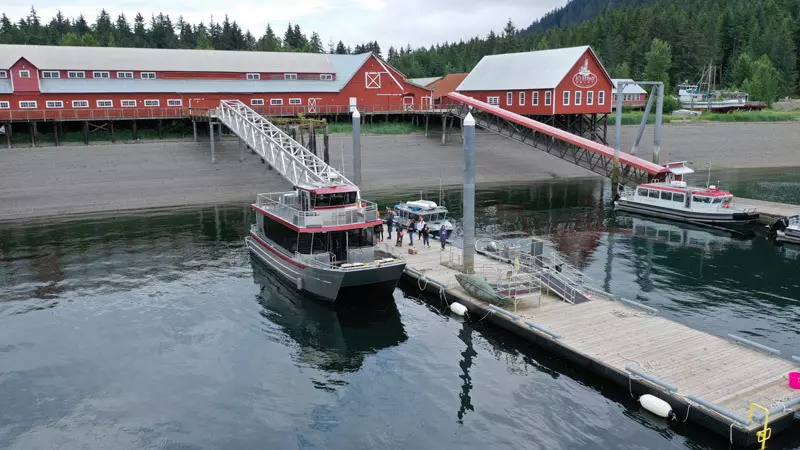 tour boats at icy strait point alaska