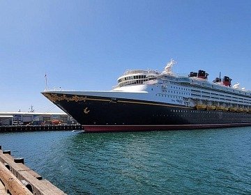 yes you can get kicked off a cruise ship