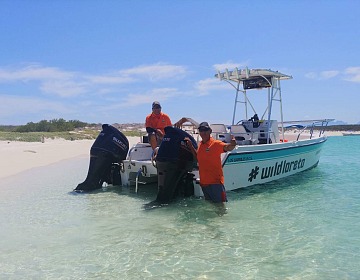 Things To Do In Loreto, Mexico 