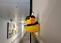 cruise duck on Norwegian Encore