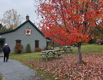 Elmhurst Outdoors lodge with a maple leaf barn quilt and a bright red maple in fall color on the Kingston Peninsula near Saint John