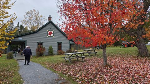 Elmhurst outdoors lodge fall maple