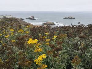 IMG_20160817_140953_original