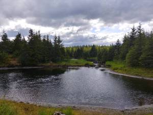 20180606_153459_HDR_original